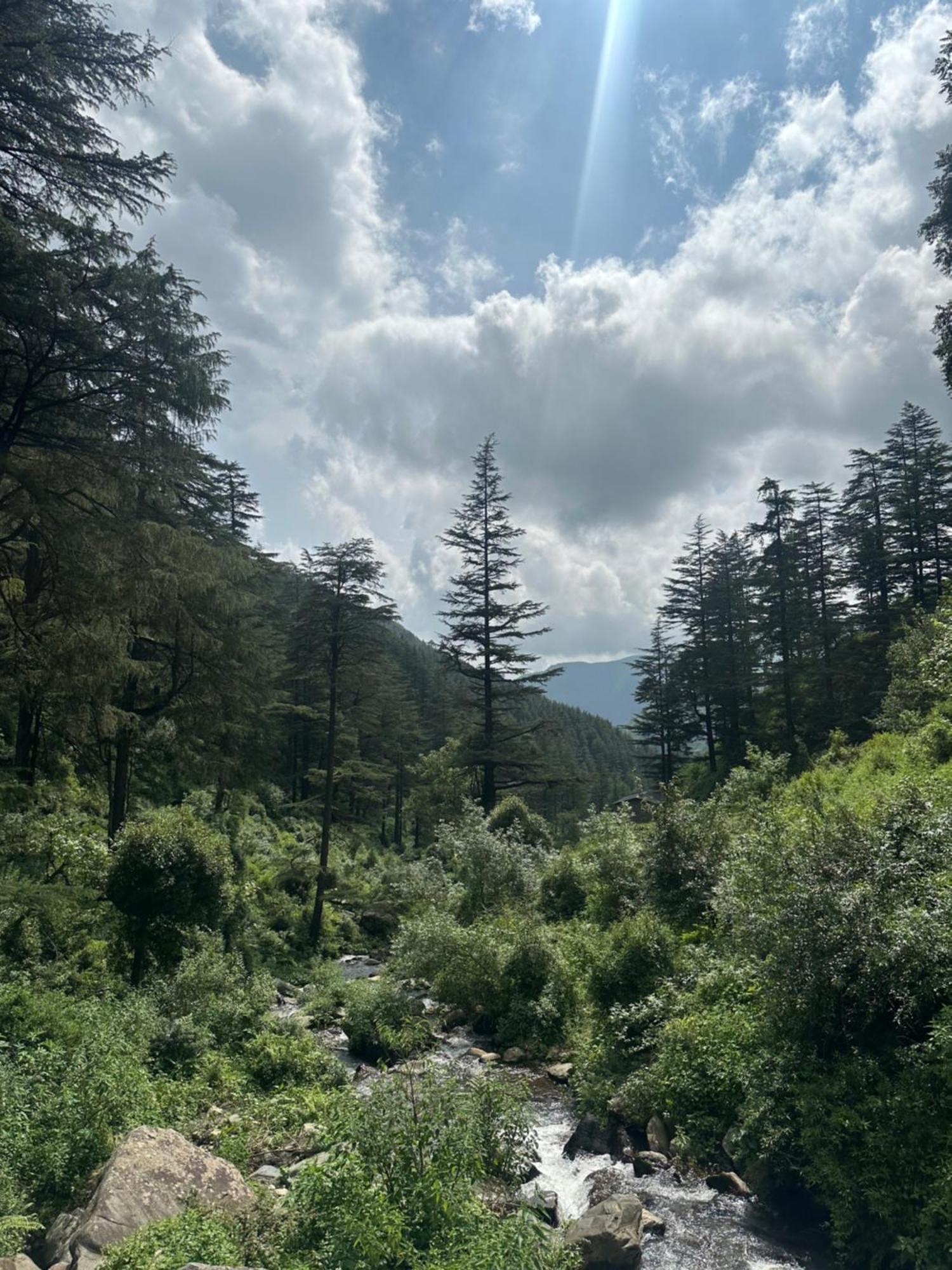 Deodar Village Homestay Devalsari ムスーリー エクステリア 写真