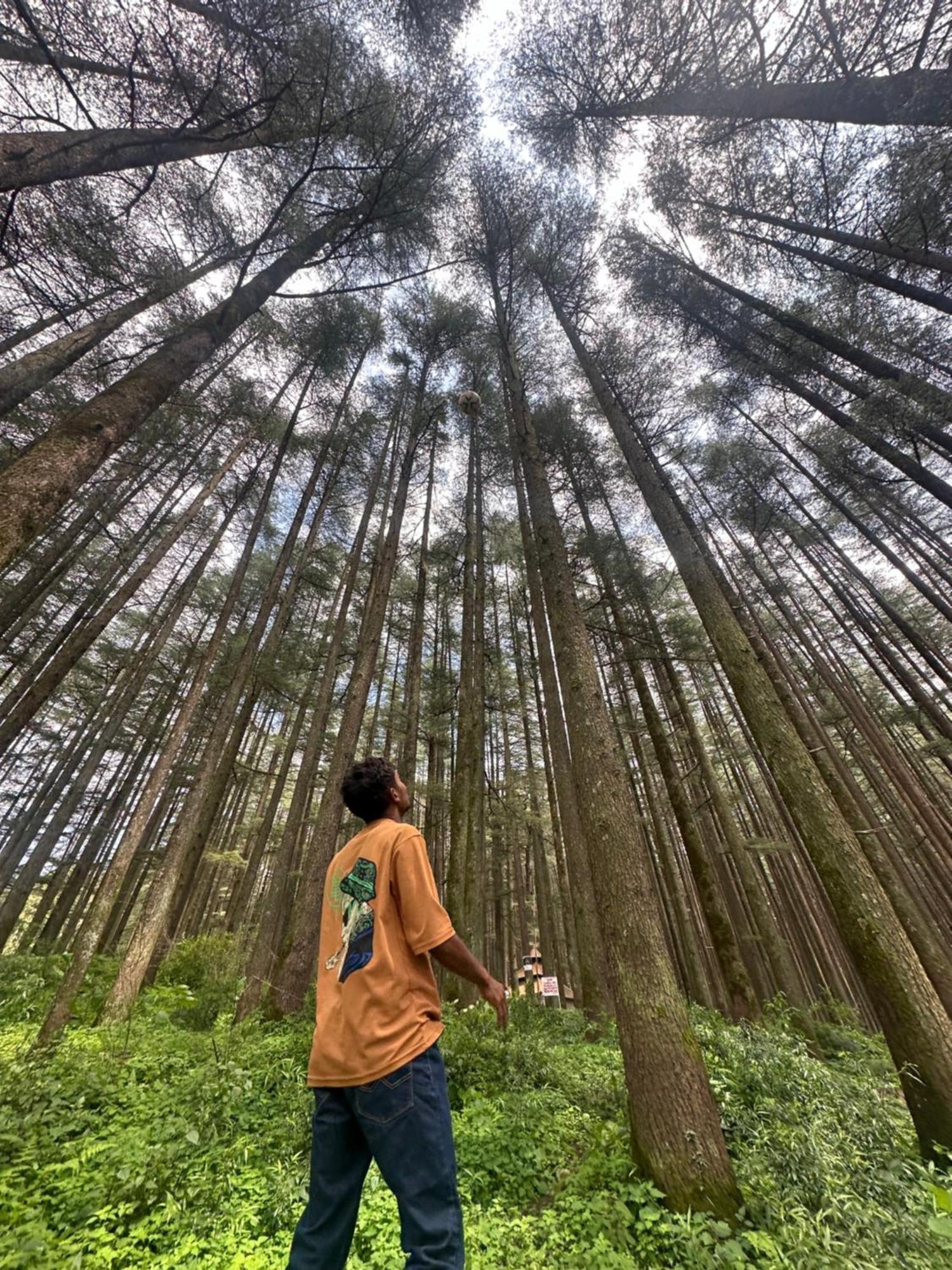 Deodar Village Homestay Devalsari ムスーリー エクステリア 写真