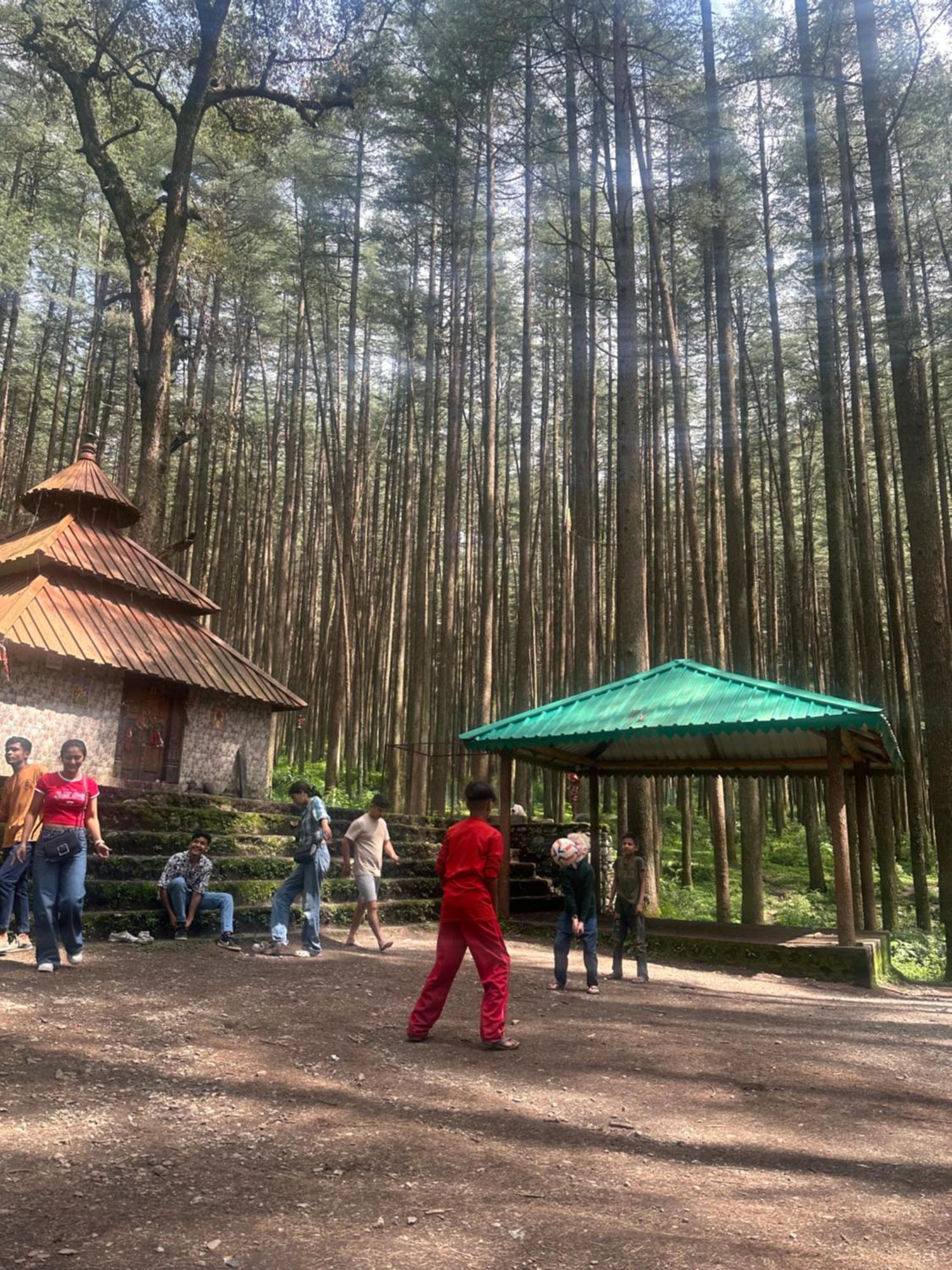 Deodar Village Homestay Devalsari ムスーリー エクステリア 写真