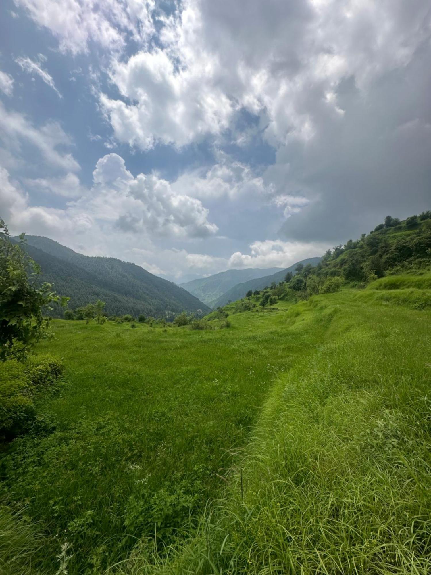 Deodar Village Homestay Devalsari ムスーリー エクステリア 写真